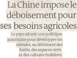 2023 06 28 LA CHINE DEBOISE.jpg
