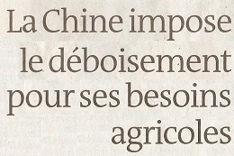 DEF. 2023 06 28 LA CHINE DEBOISE.jpg