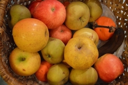 FRUITS2.JPG
