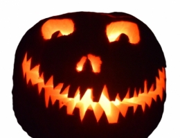 photographie,halloween,citrouille,courge,cucurbitacée,fête de la toussaint