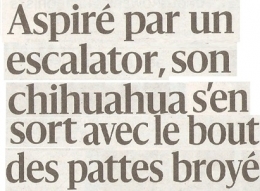 PQR 2025 11 10 CHIHUAHUA .jpg