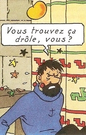 journal le monde,incendies,réchauffement climatique,sécheresse,jacque chirac,californie,wild fire