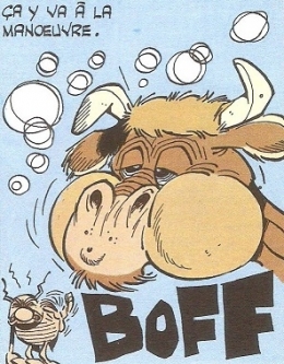 VACHE 12.jpg