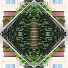 photographie,lyon,rue pouteau,la croix-rousse,vieux lyon