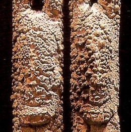 TELLEM BANDIAGARA.jpg