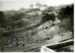 1 1933 avant les fouilles.jpg