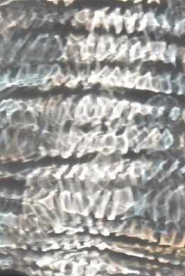 ECRITURE KALEIDOFORME.JPG