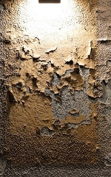 LE FEU DU PROJECTEUR.JPG