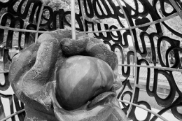 CLOS JOUVE 1991 05 15 LA FANNY CLAUDE ESSERTEL.jpg