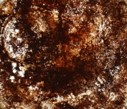 photographie,lyon illuminations 8 décembre