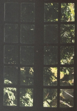 georges brassens,tonton georges,chanson française,yves montand,battling joe,montand les grands boulevards,jacques brel,les amoureux des bancs publics,michel houellebecq,guilde du disque,croix-rousse,café de la crèche,une jolie fleur dans une peau de vache,jacques prévert,houellebecq interventions,mourir pour des idées,tonton nestor