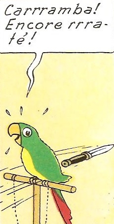 bande dessinée,littérature,dictionnaire amoureux plon,dictionnaire amoureux de tintin,dictionnaire amoureux des dictionnaires,alain rey,éditions plon,albert algoud,éditions de l'opportun,petit dictionnaire énervé de tintin,caramba,ramon bada,hergé,tintin,éditions moulinsart,dubout dessinateur,rabelais,jean-baptiste botul,bhl,bernard-henri lévy,frédéric pagès,gorille ranko,oumpah-pah,uderzo goscinny,astérix,serge tisseron,apostolidès,georges rémi,philippe goddin,benoît peeters,renaud nattiez,éditions champion,nattiez le mystère tintin,nattiez dictionnaire tintin,nick rodwell,moulinsart sa,alain bouldouyre,christophe georges colomb,le professeur cosinus