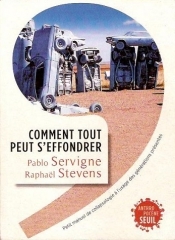 SERVIGNE & STEVENS.jpg