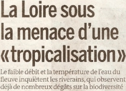 2022 08 17 LOIRE TROPICALISEE.jpg