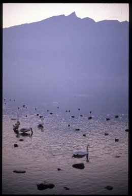 1989 LAC BOURGET DENT DU CHAT.jpg