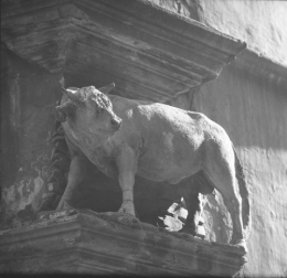 1 1967 LE BOEUF DE GEORGES VERMARD.jpg