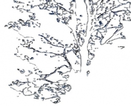 CAMPING 2 STRASBOURG .JPG