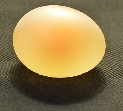 2020 05 09 13H54.JPG