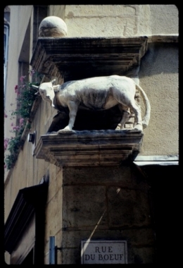 1 BOEUF DE LA RUE 1977 RENE LANAUD.jpg