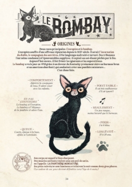 guillaume bianco,billy brouillard,comptines malfaisantes,histoires,chats,histoires de chats,bombay,maine coon,sphynx,persan,siamois,gothique,bd,contes