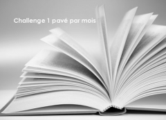 challenge-un-pave-par-mois.jpg