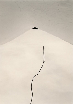 Masao Yamamoto.jpg