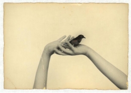 Masao Yamamoto  955.jpg