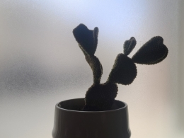 20260516_130240.jpg