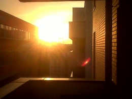 Jaune balcon de Montreuil.jpg
