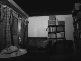 20251204_200651.jpg