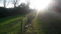 Anne au sécateur.jpg