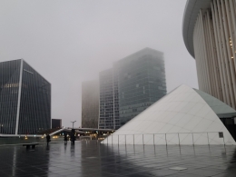 20251129_161925.jpg