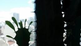 au loin bagnolet.jpg