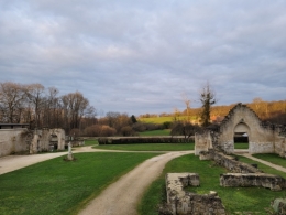 20221231_091109 (1).jpg