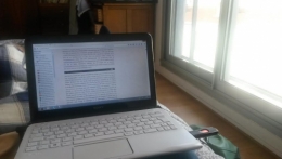 La présence silencieuse.jpg