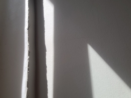 20260425_132744.jpg