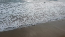 le rêve au milieu des jours.jpg