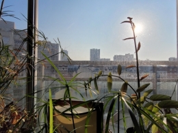 20220427_083259 (1).jpg