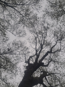 20260401_143146.jpg