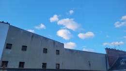 20251224_154255.jpg