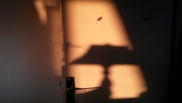 20180504_204503.jpg
