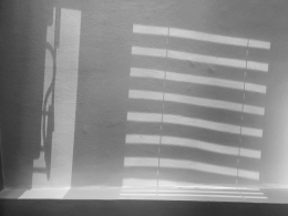 20260428_103048.jpg