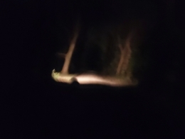 20260418_215013.jpg