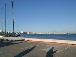 20260517_201004.jpg
