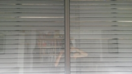 dans le volet métalique.jpg