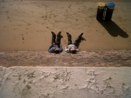 Hommes sans mère.jpg