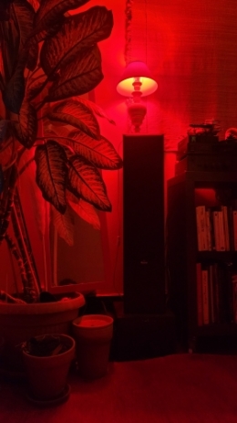 20260210_181722.jpg
