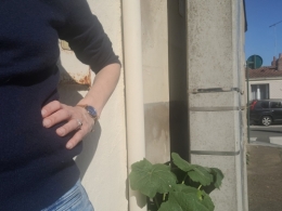 20260409_112431.jpg