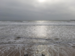 20201115_145842 (1).jpg