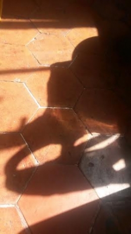 Les tomettes au printemps.jpg